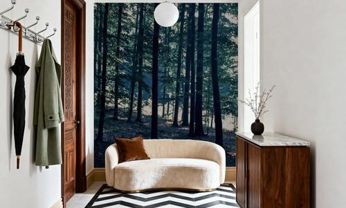 Dappled Forest Light
