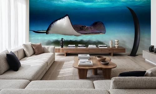 Ocean Glider