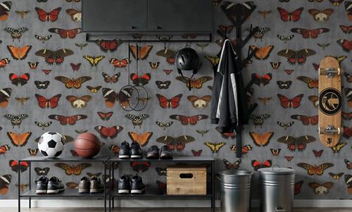 Butterfly Collection Gray