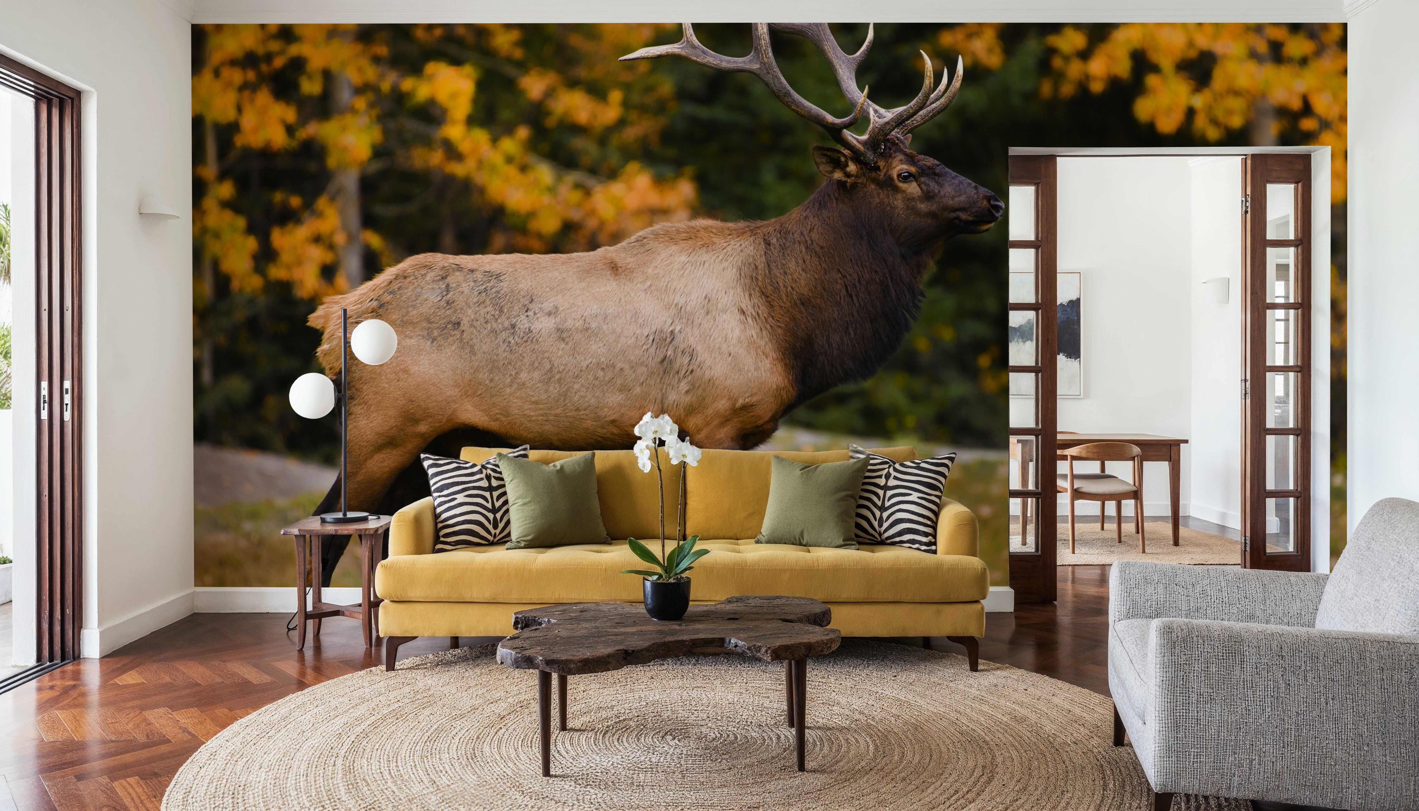 Bull Elk