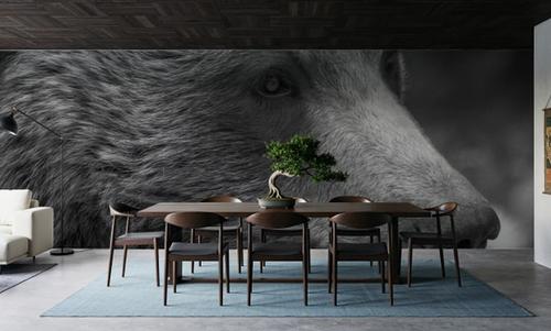 British Columbia Grizzly Portrait