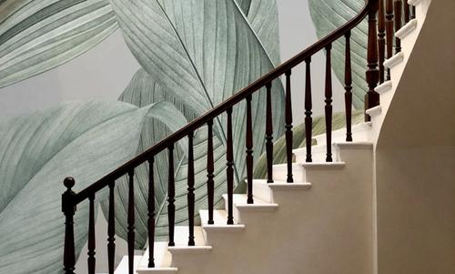 Translucent Foliage