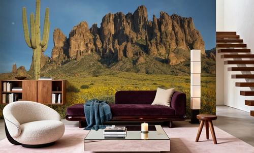 Superstition Mountains