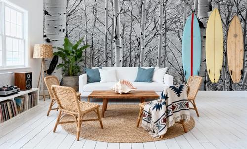 Silver Birch Symphony