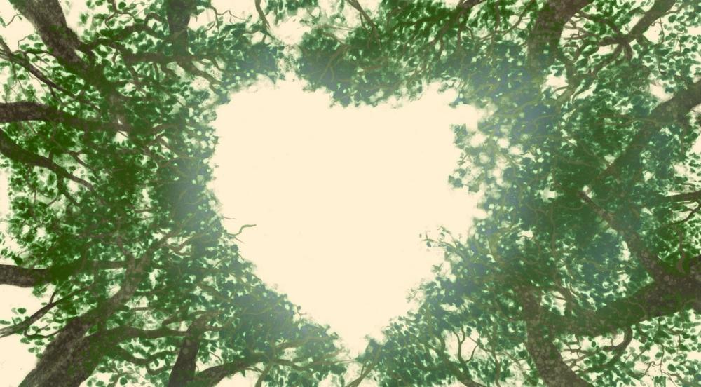 Treetop Heart