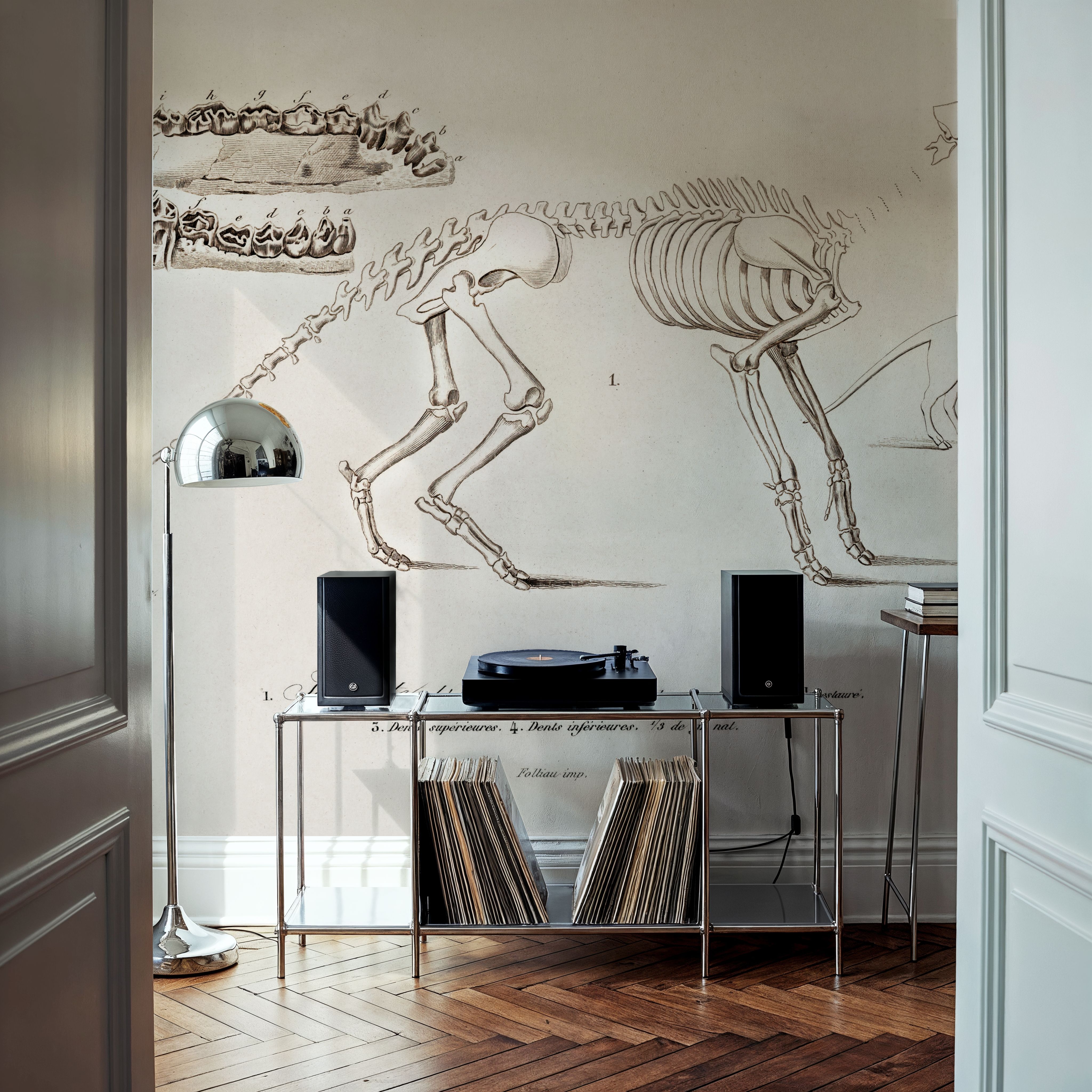 Ungulate Illustrated