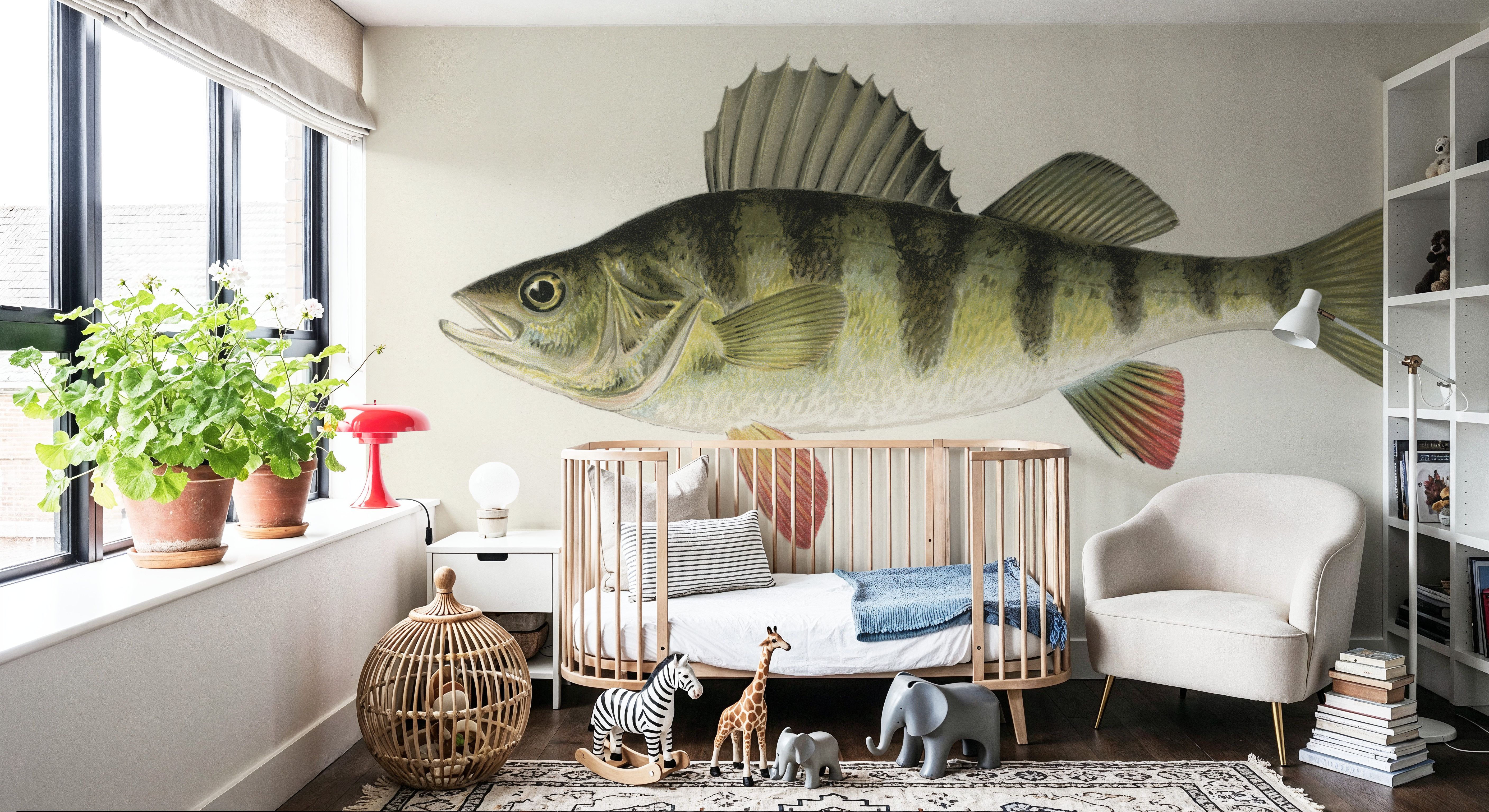 Barred Perch