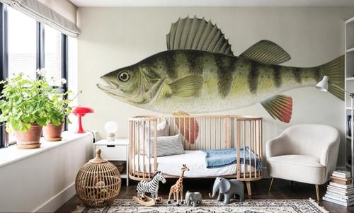 Barred Perch