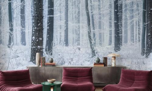 Cold forest