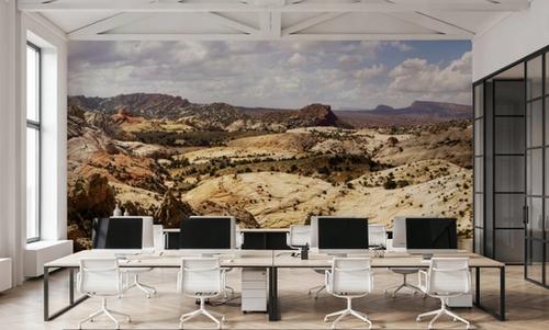 Desert Canyon Majesty