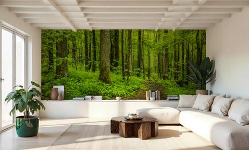 Emerald Woodland Path