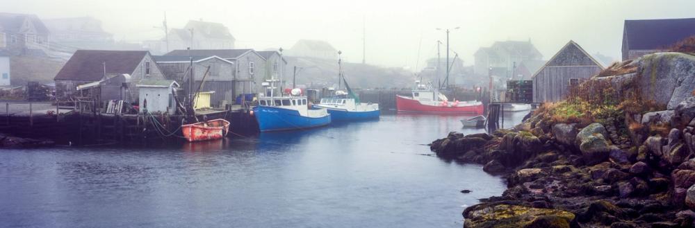 Foggy Fishing