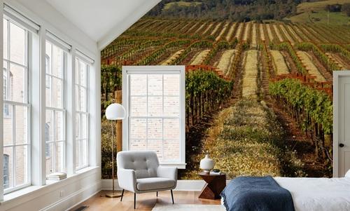 Vineyard Dreams