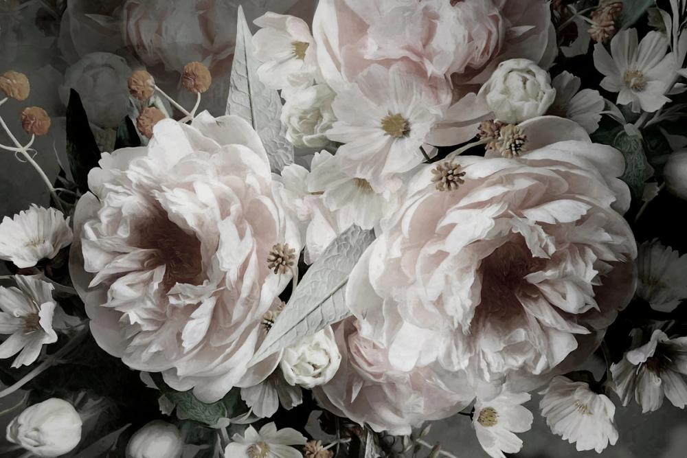 Through the Magnifying Lens