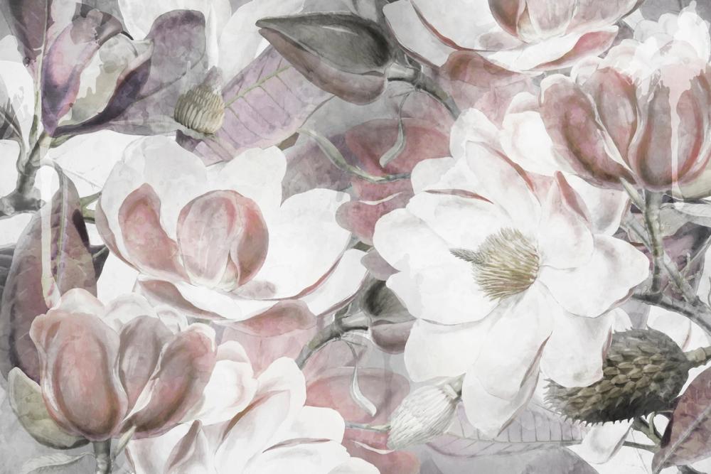Magnolia art