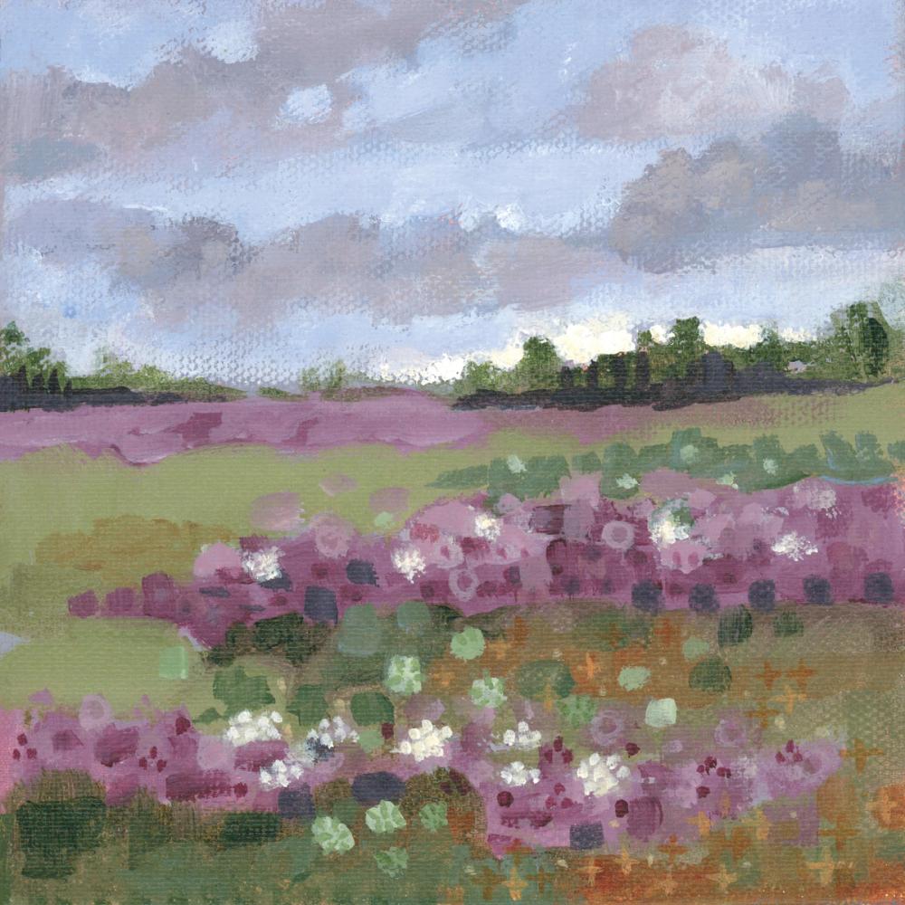 Field of Clover