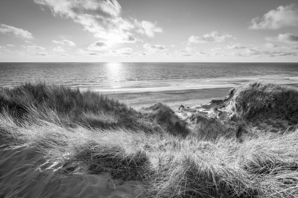 Dune Landscape, Black & White