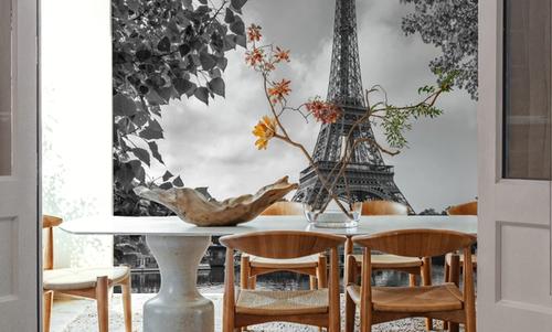 Eiffel Framed BW