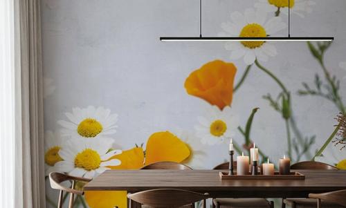 Daisies