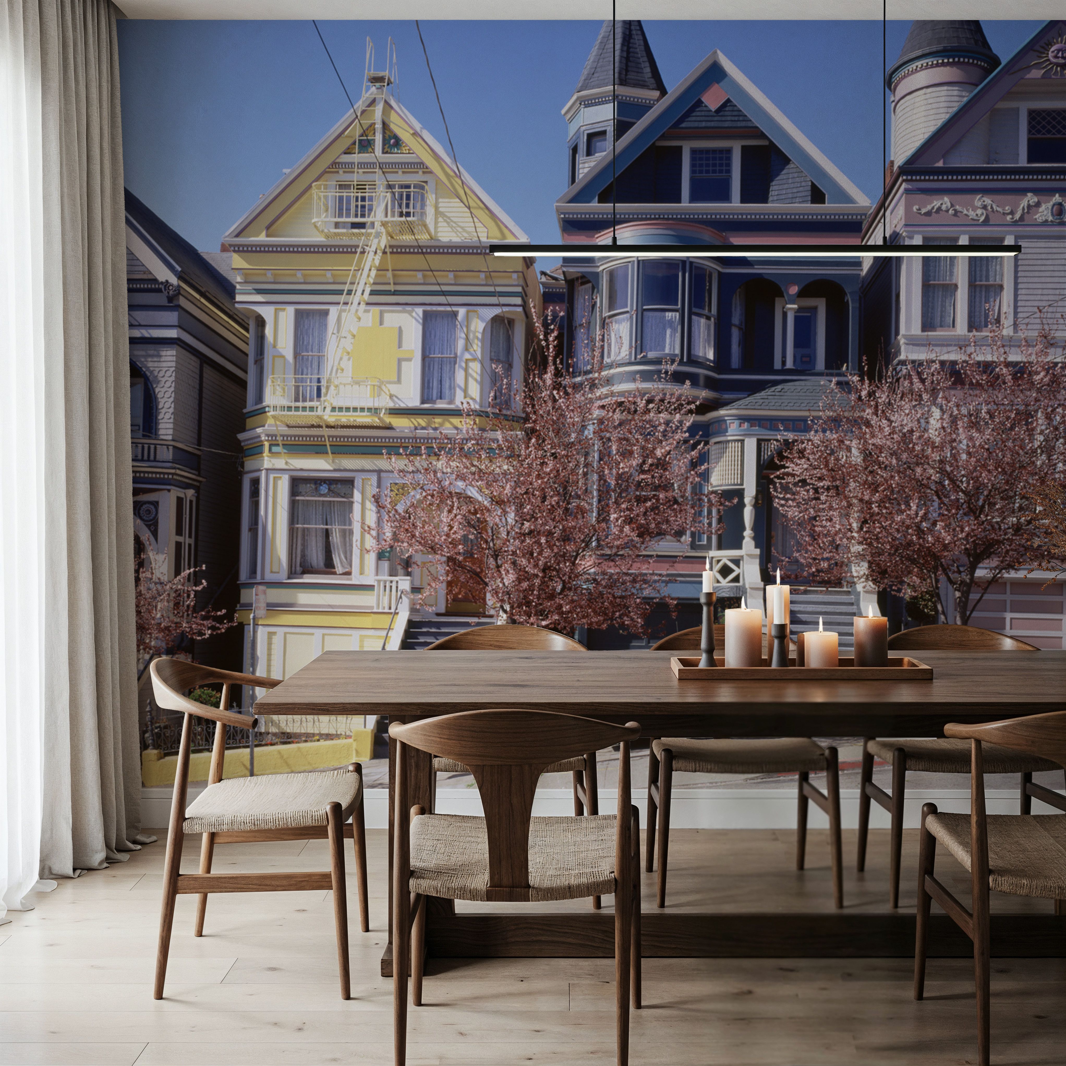 San Francisco Painted Ladies