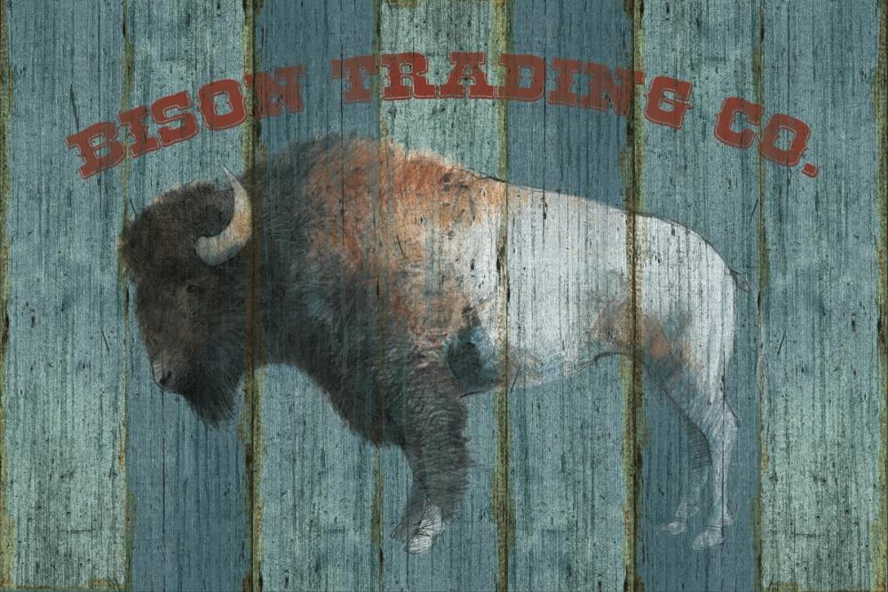Bison Trading Co