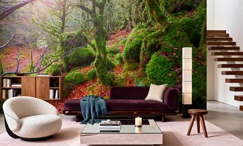 Pyrenees Moss I