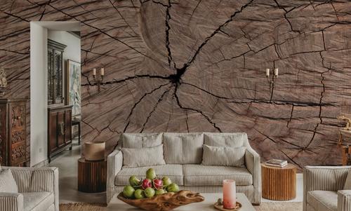 Tree Ring Portrait