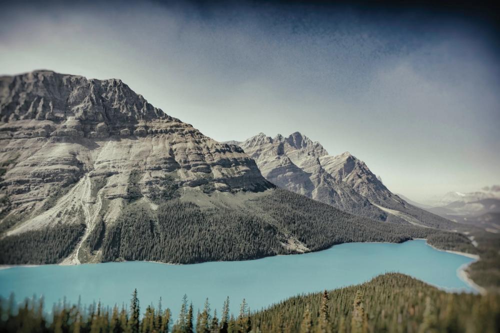 Peyto Lake