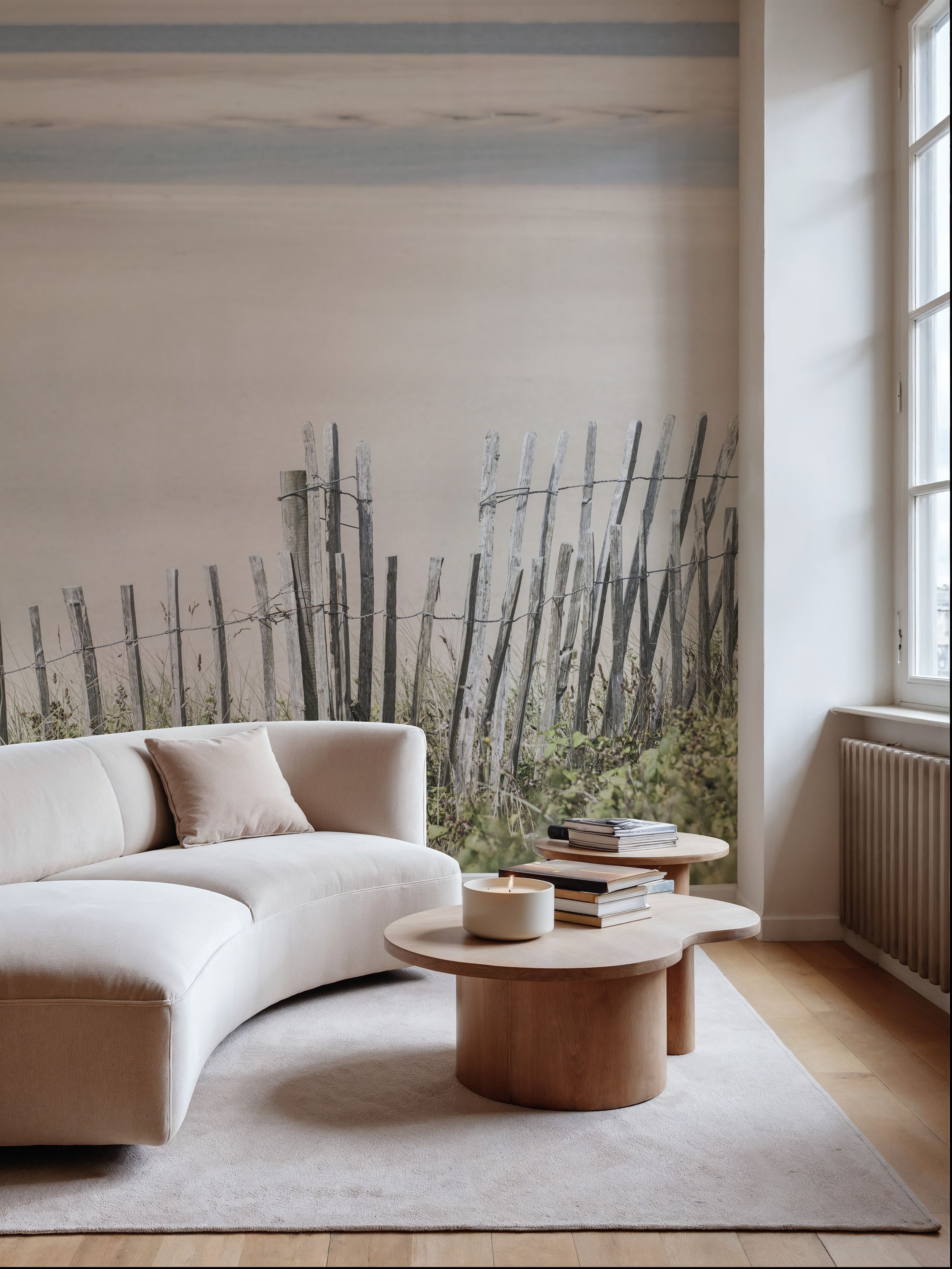Coastal Fence I