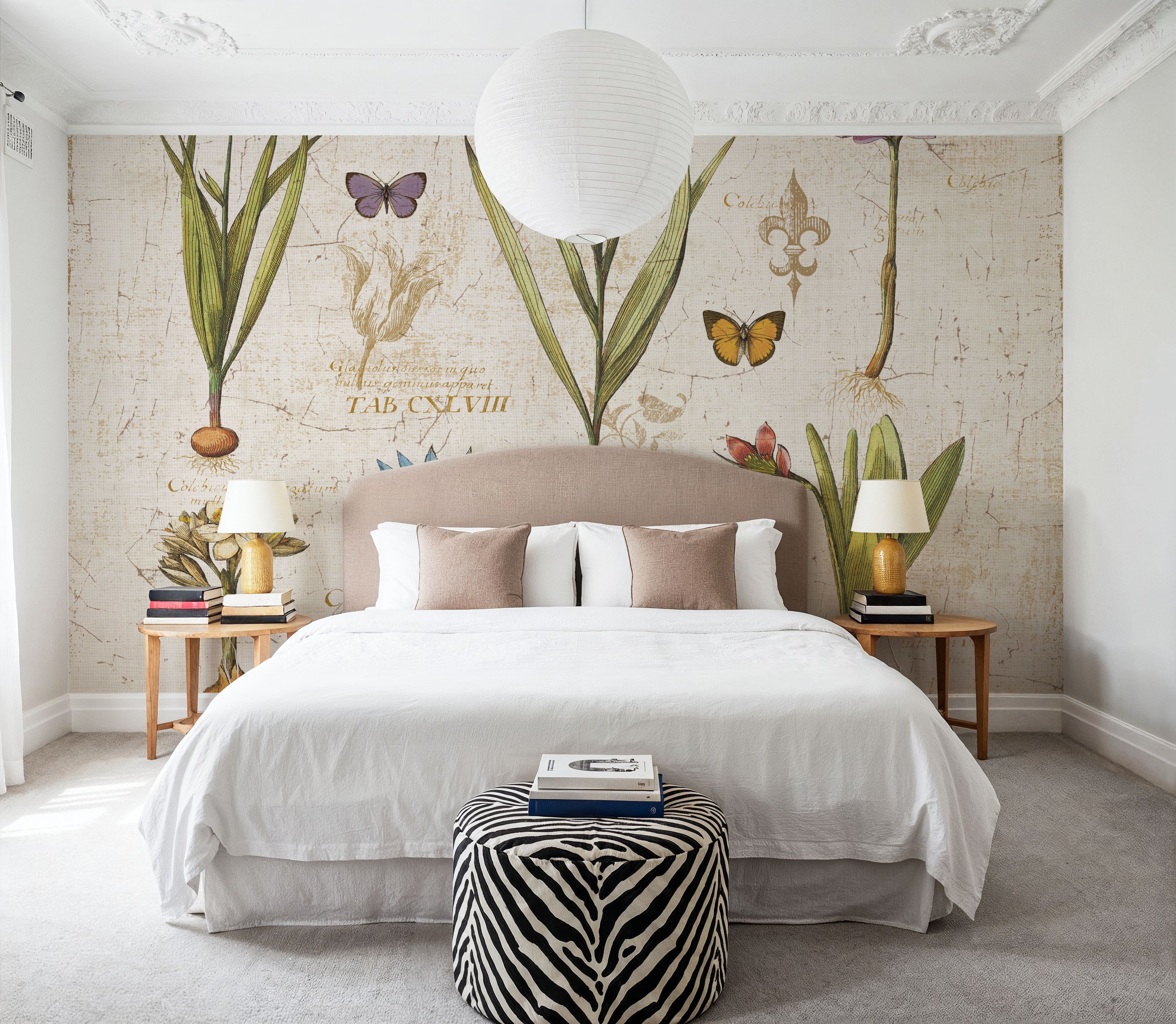 Histoire Naturelle V v2