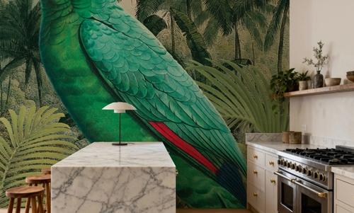 Jungle Parrot II