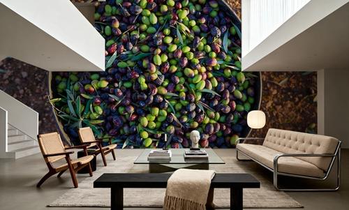 Olive Harvest