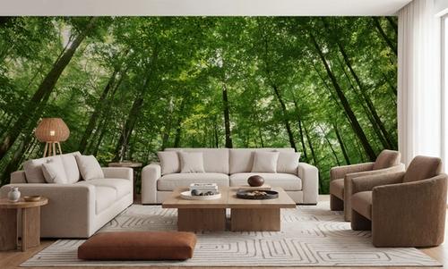 Woodland Serenity