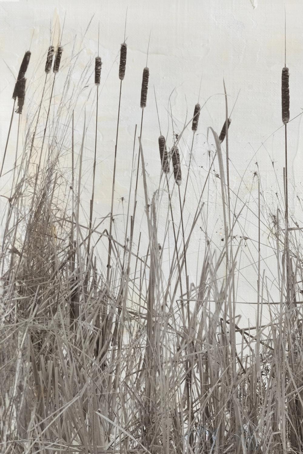 Kates Rushes I