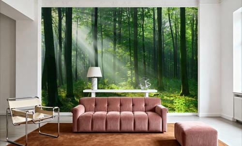 Tranquil Woods