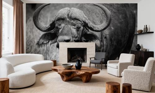African Buffalo