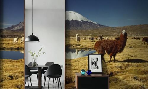 Andean Serenity