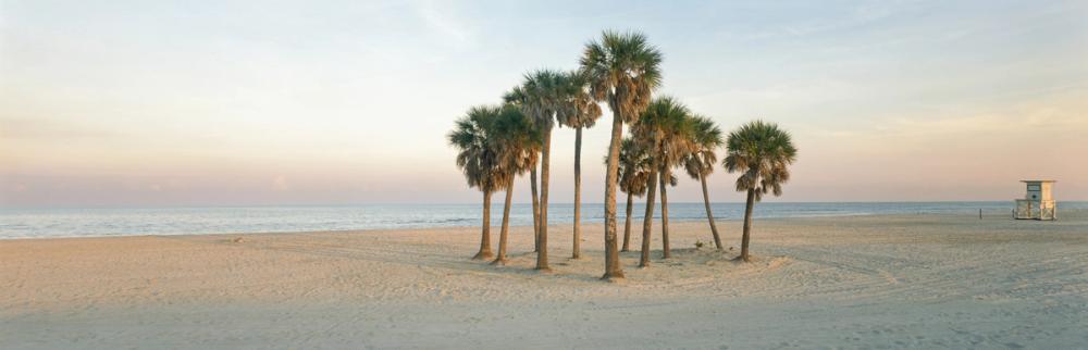 Sunset Palms Lookout
