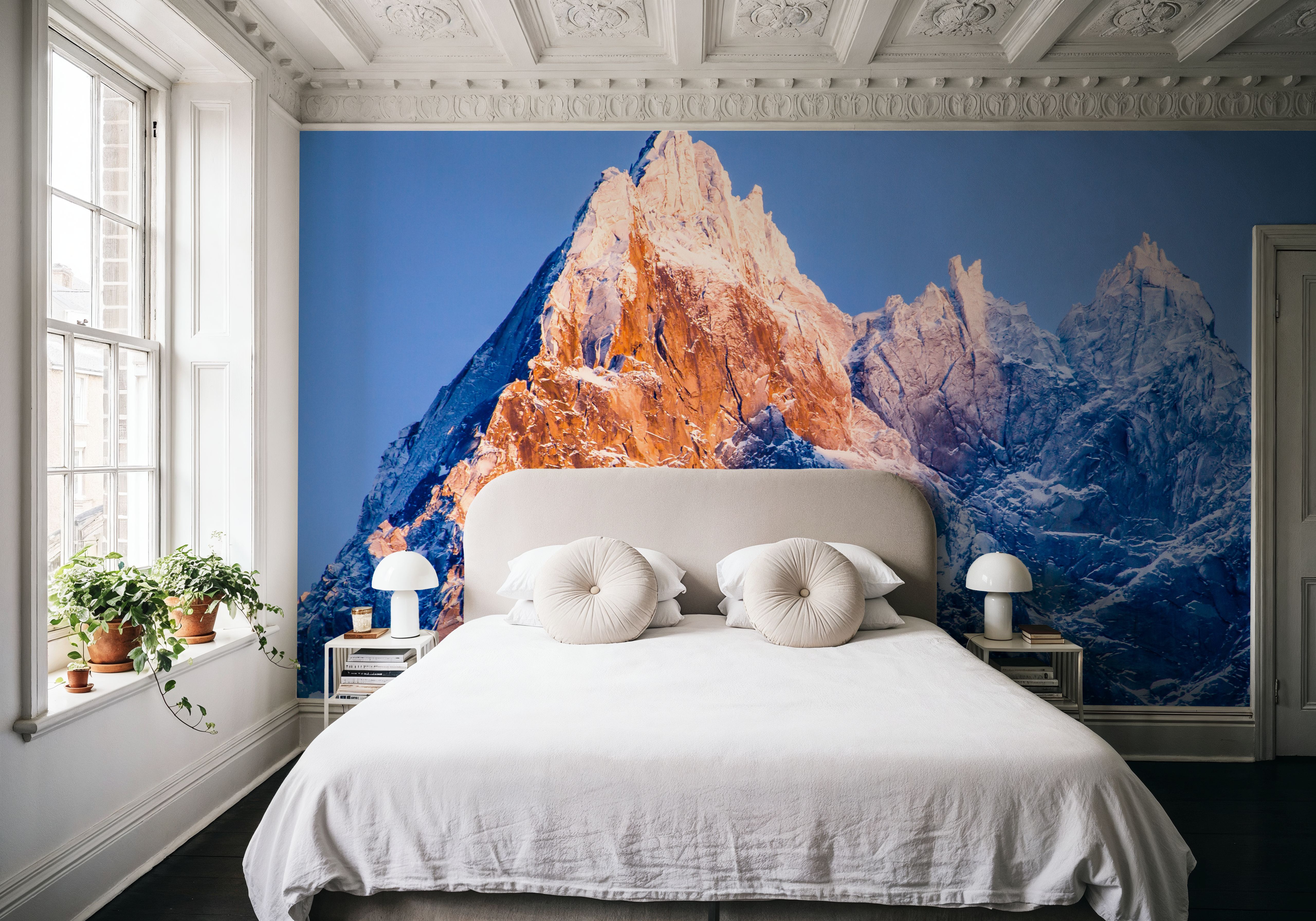 Peak Mont Blanc