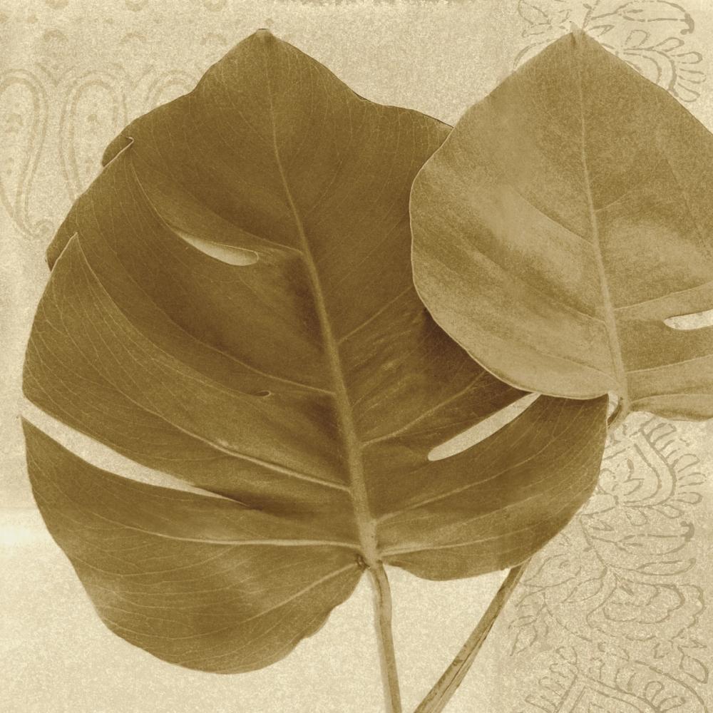Ornate Monstera Leaf II