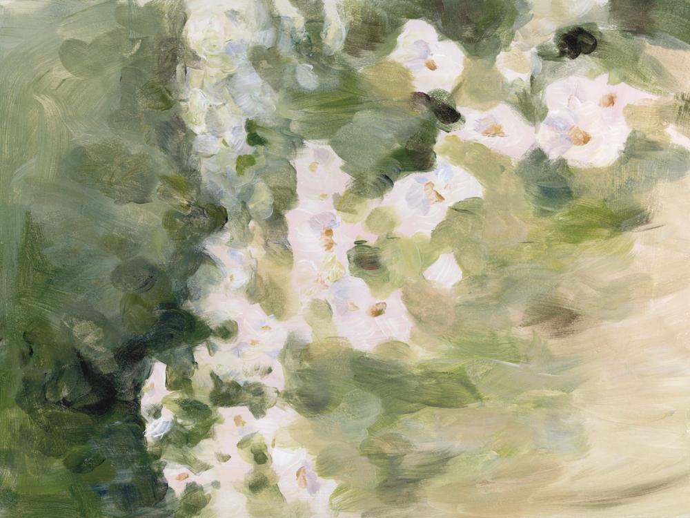 Midsummer Meadow White