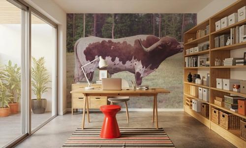 Longhorn Bull