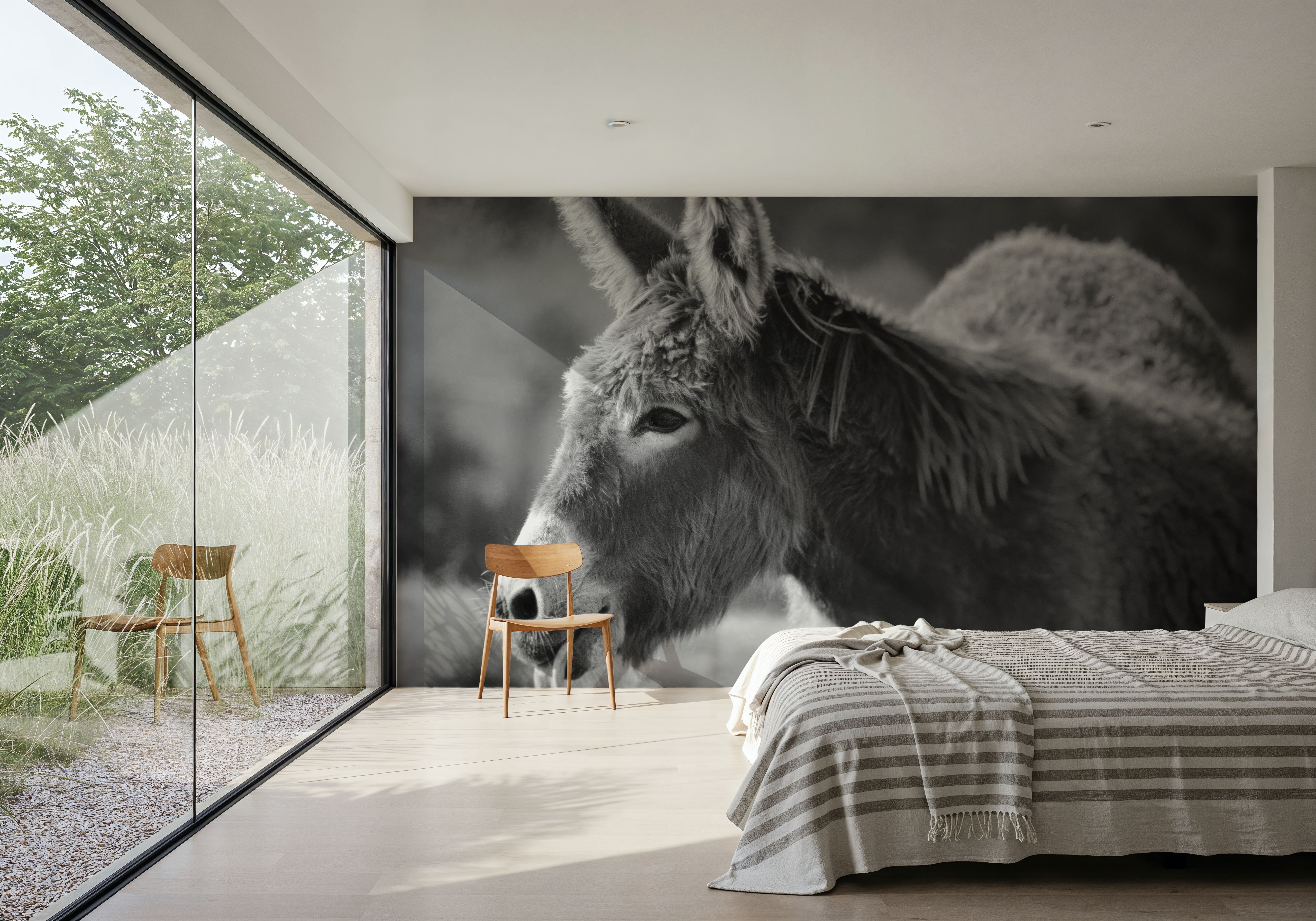 Sweet Donkey II BW