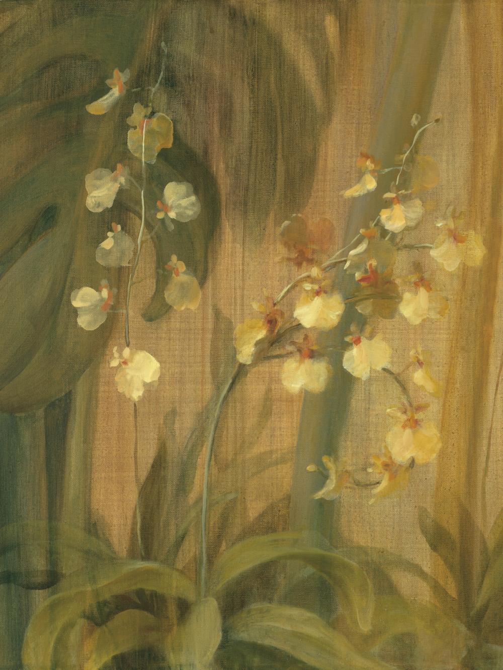 Yellow Orchid I