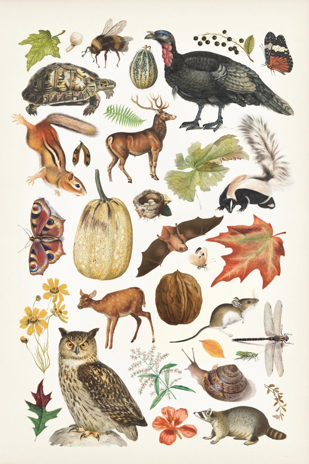 Autumn Chart II