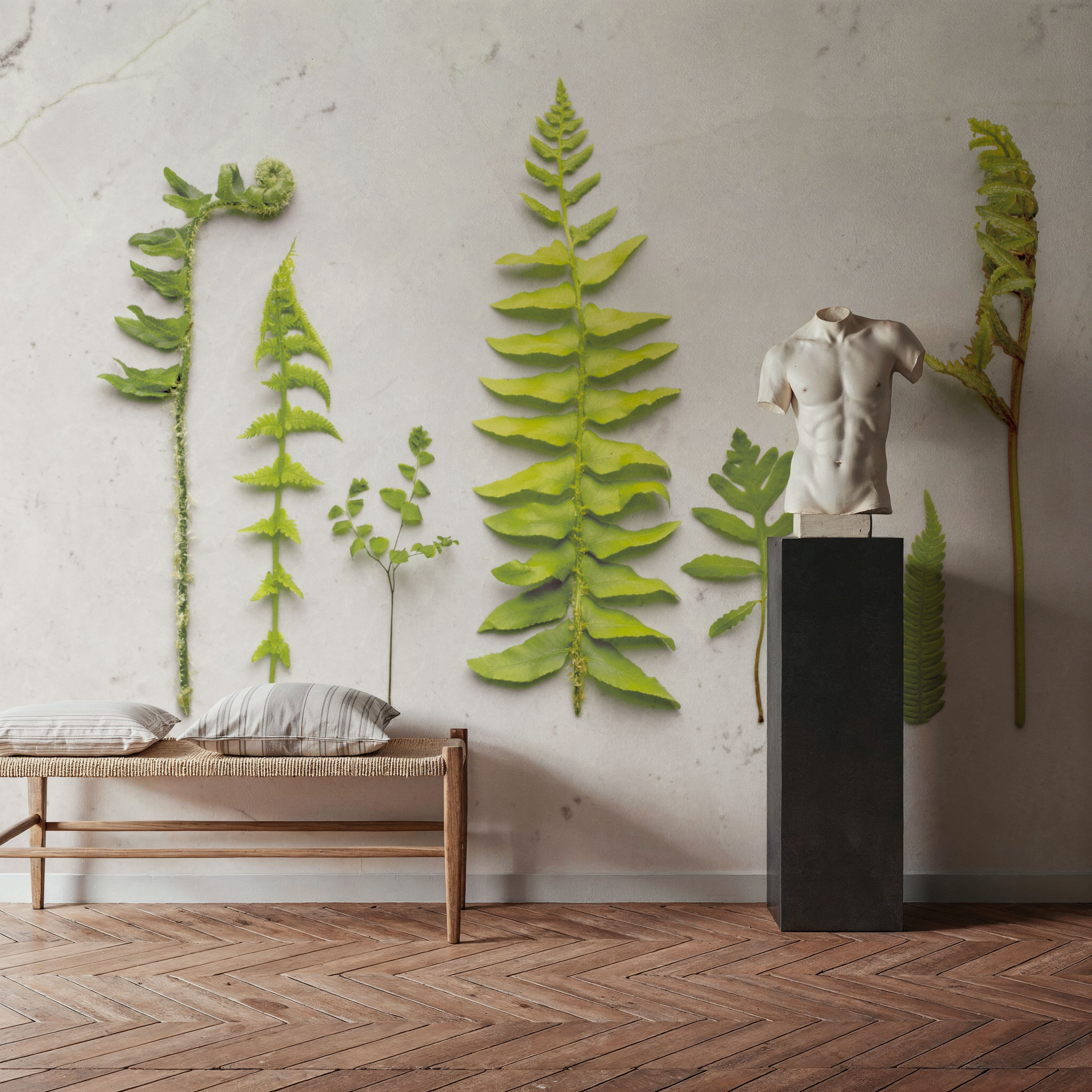 Flat Lay Ferns