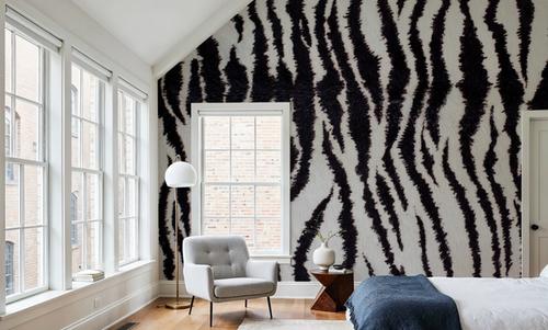 Zebra Stripes