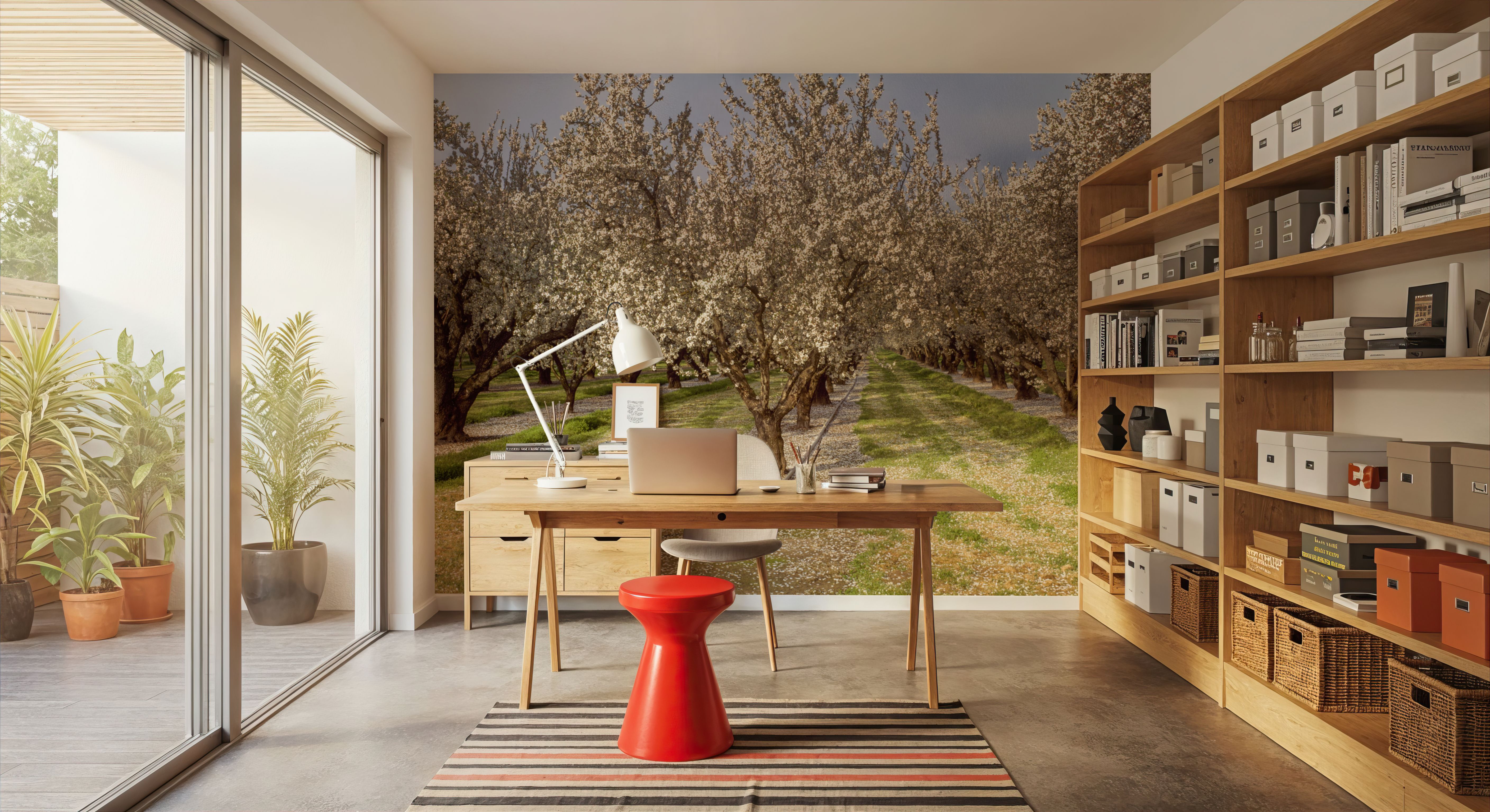 Blooming Almond Grove