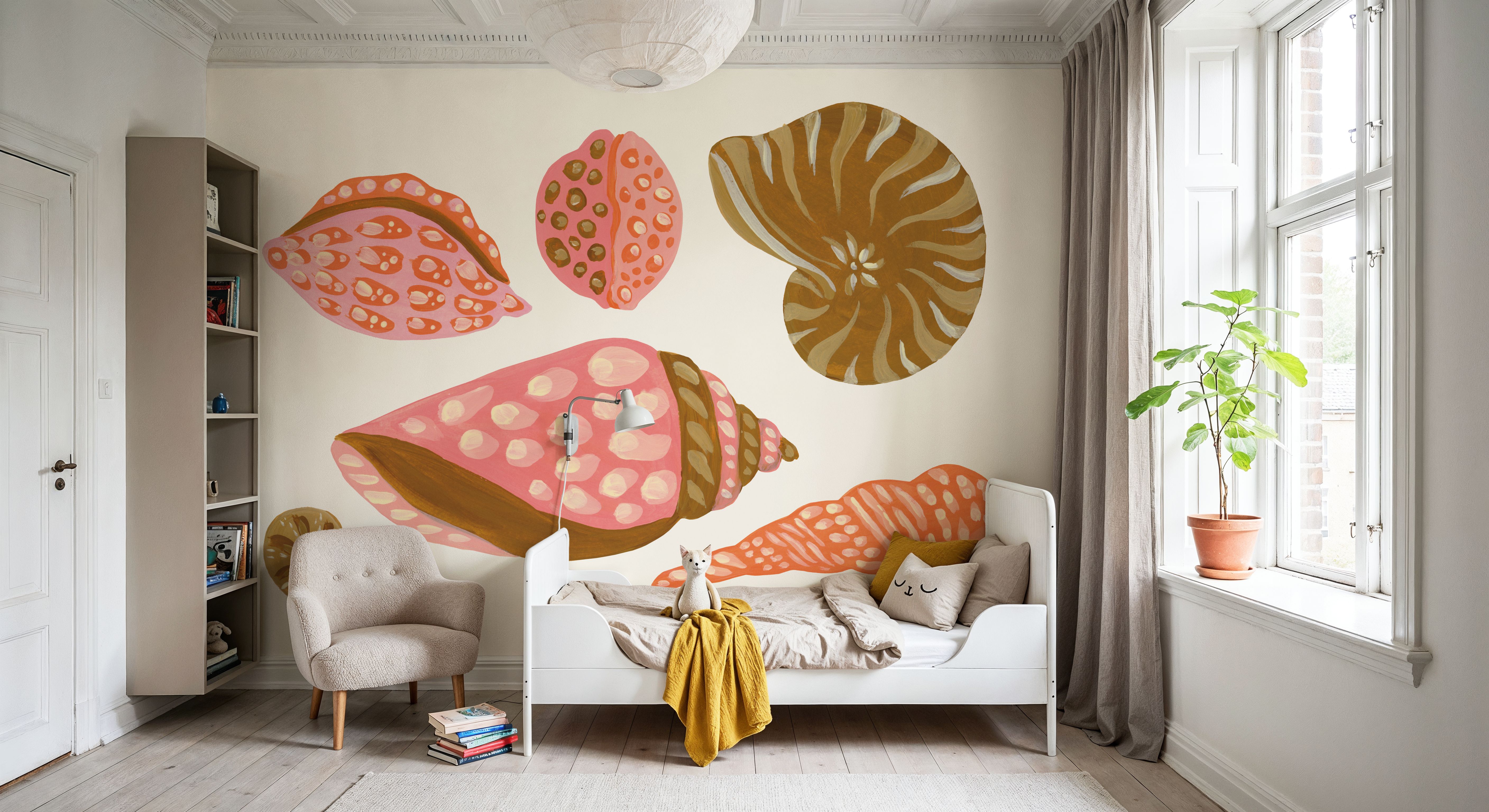 My Tropical Shell Collection I