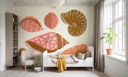 My Tropical Shell Collection I